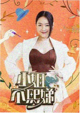 综艺城市漫游者海报